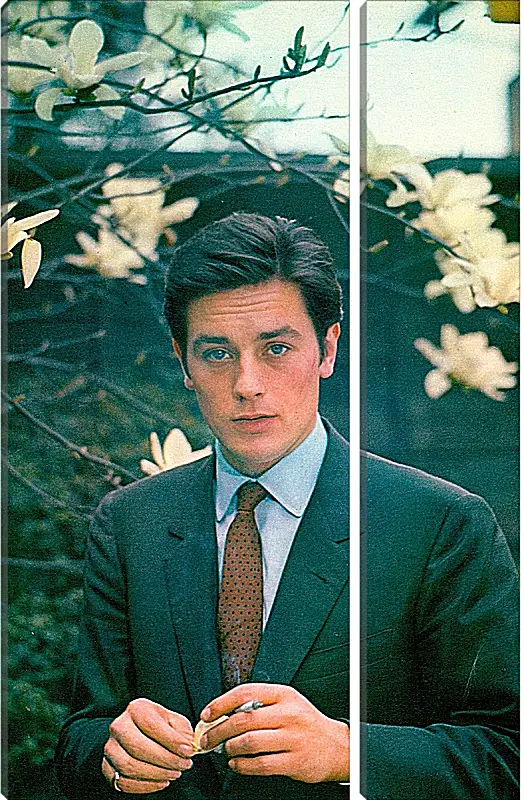 Модульная картина - Ален Делон. Alain Delon