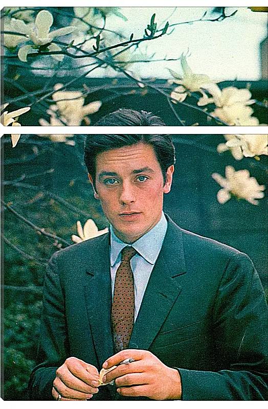 Модульная картина - Ален Делон. Alain Delon