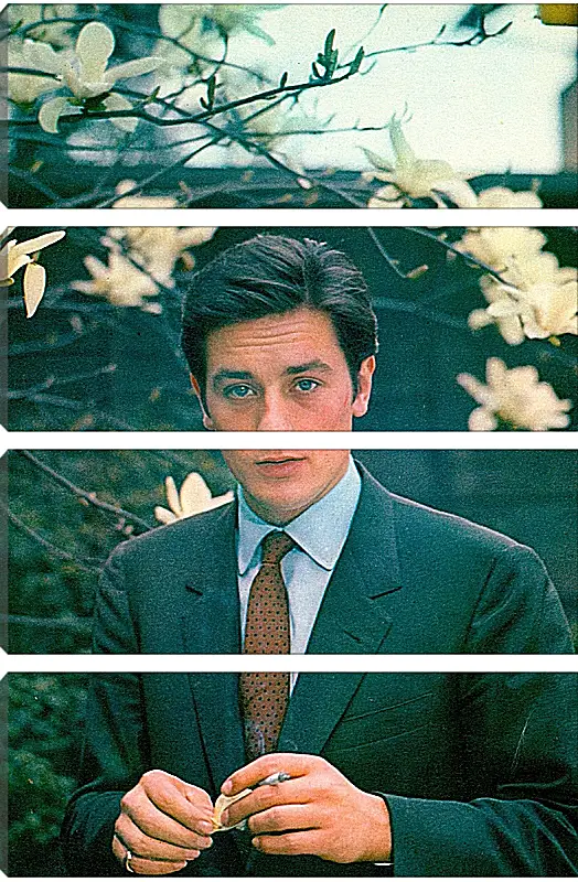 Модульная картина - Ален Делон. Alain Delon