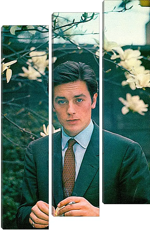 Модульная картина - Ален Делон. Alain Delon