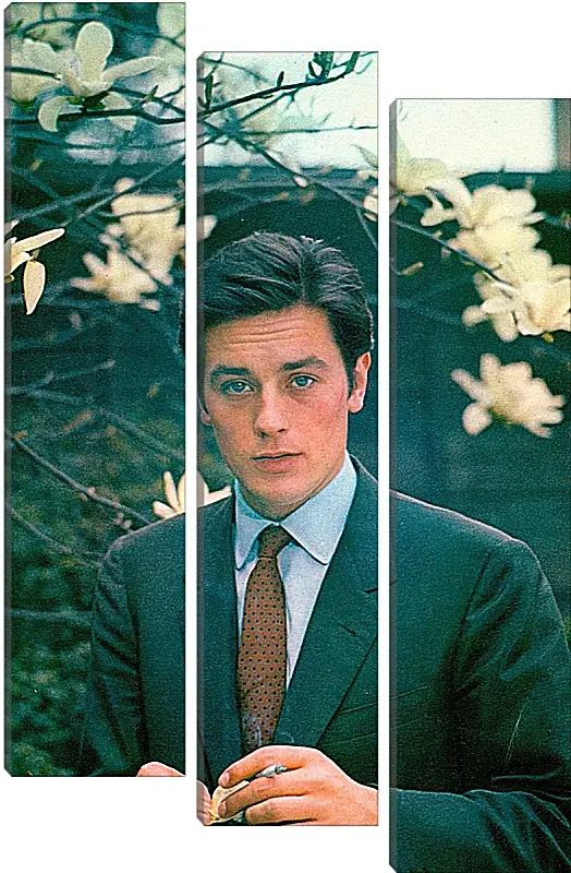 Модульная картина - Ален Делон. Alain Delon