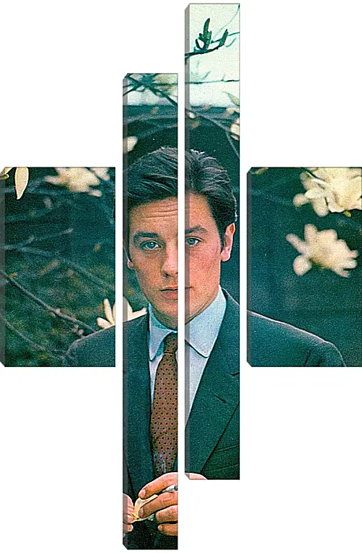 Модульная картина - Ален Делон. Alain Delon