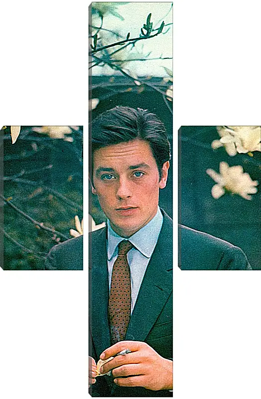 Модульная картина - Ален Делон. Alain Delon