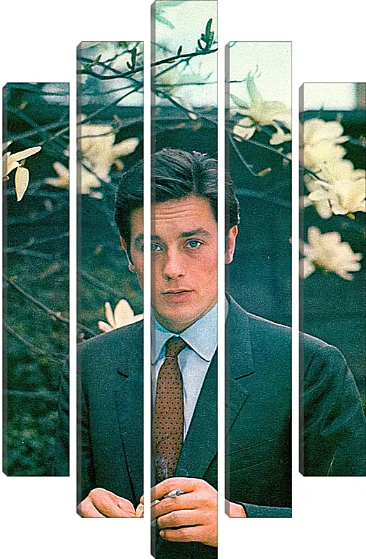 Модульная картина - Ален Делон. Alain Delon