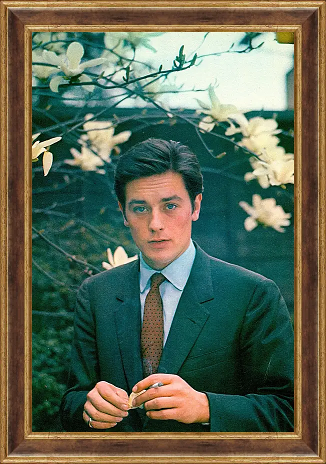 Картина в раме - Ален Делон. Alain Delon