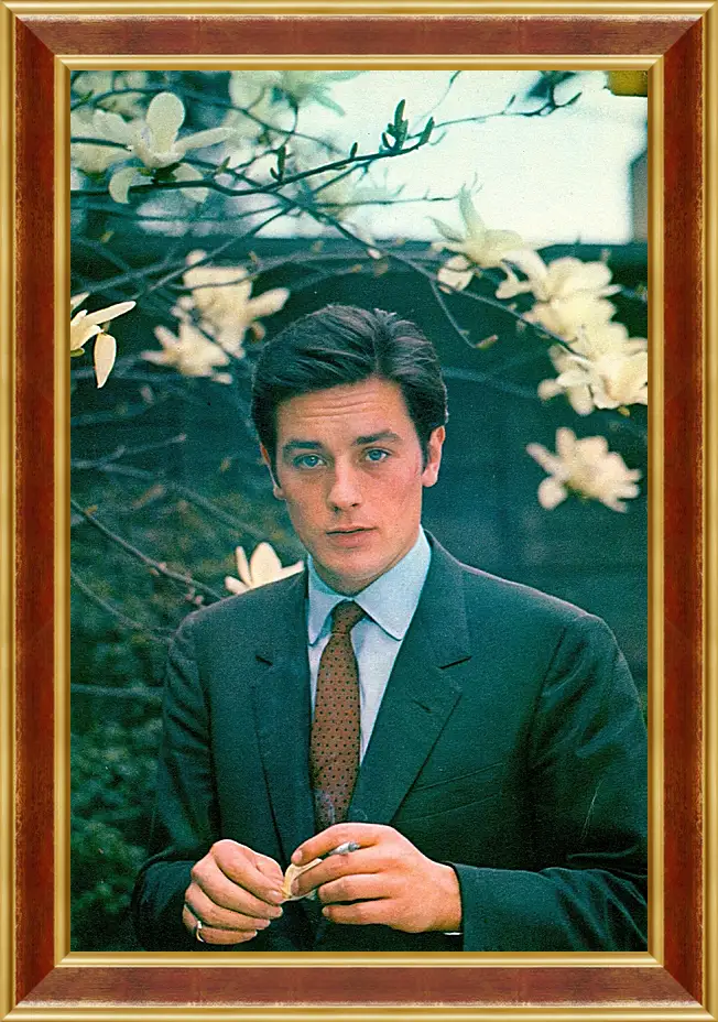 Картина в раме - Ален Делон. Alain Delon