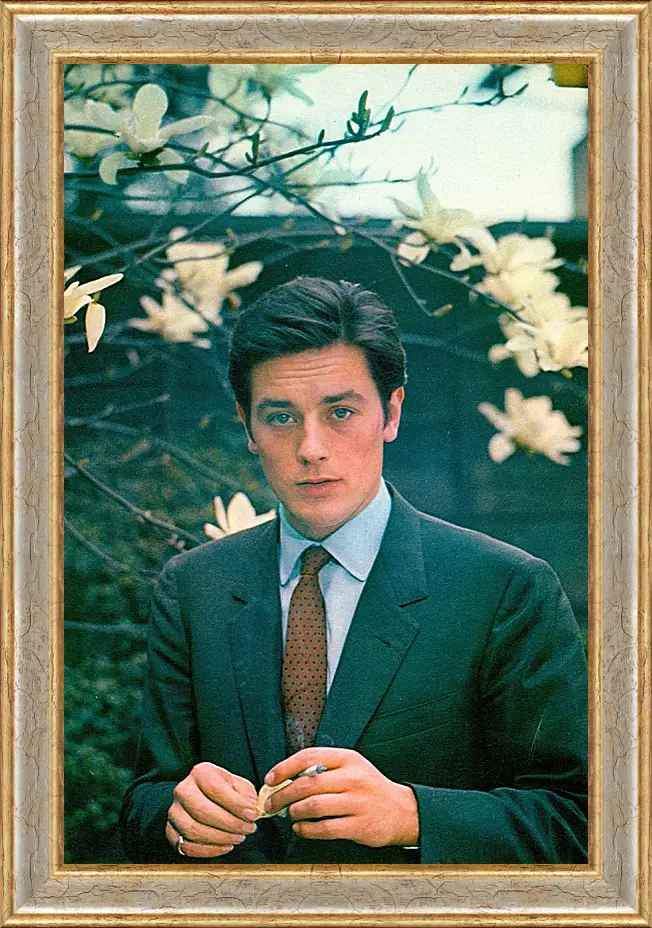 Картина в раме - Ален Делон. Alain Delon