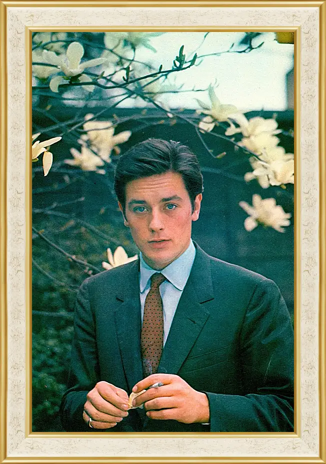 Картина в раме - Ален Делон. Alain Delon