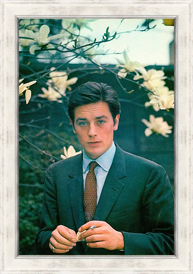 Картина в раме - Ален Делон. Alain Delon