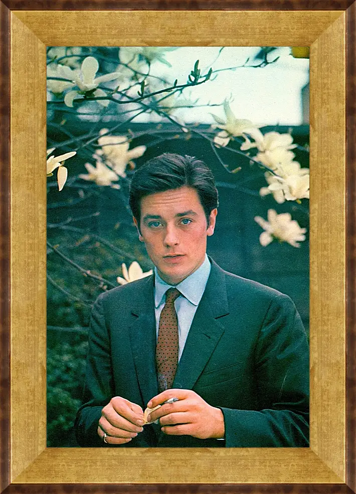 Картина в раме - Ален Делон. Alain Delon