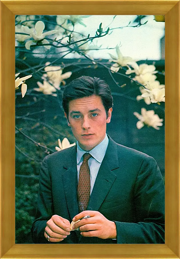 Картина в раме - Ален Делон. Alain Delon