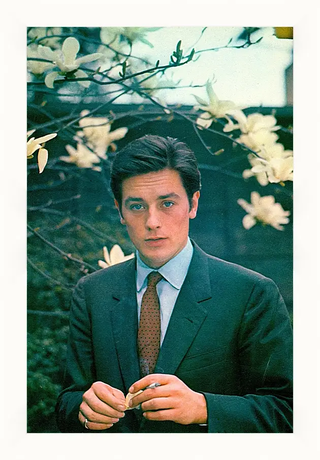 Картина в раме - Ален Делон. Alain Delon