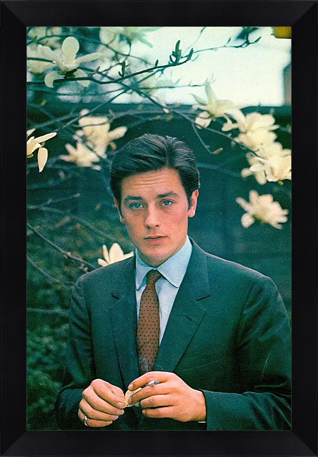 Картина в раме - Ален Делон. Alain Delon