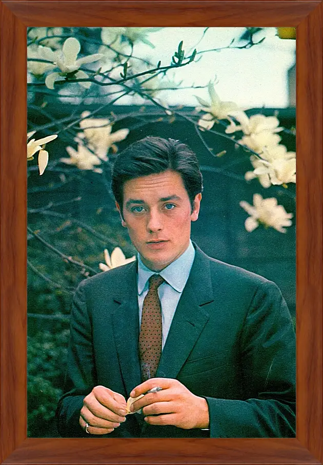 Картина в раме - Ален Делон. Alain Delon