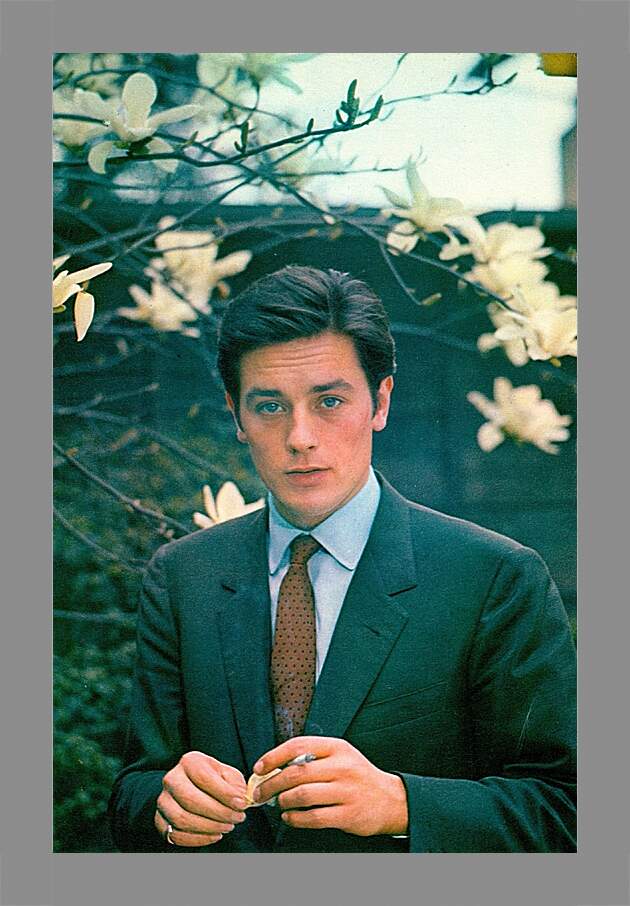 Картина в раме - Ален Делон. Alain Delon