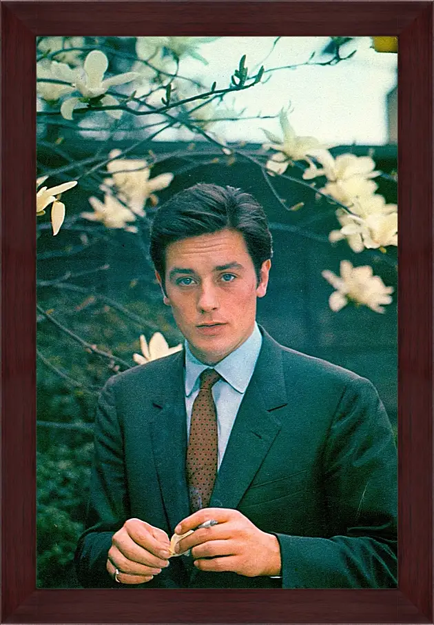 Картина в раме - Ален Делон. Alain Delon