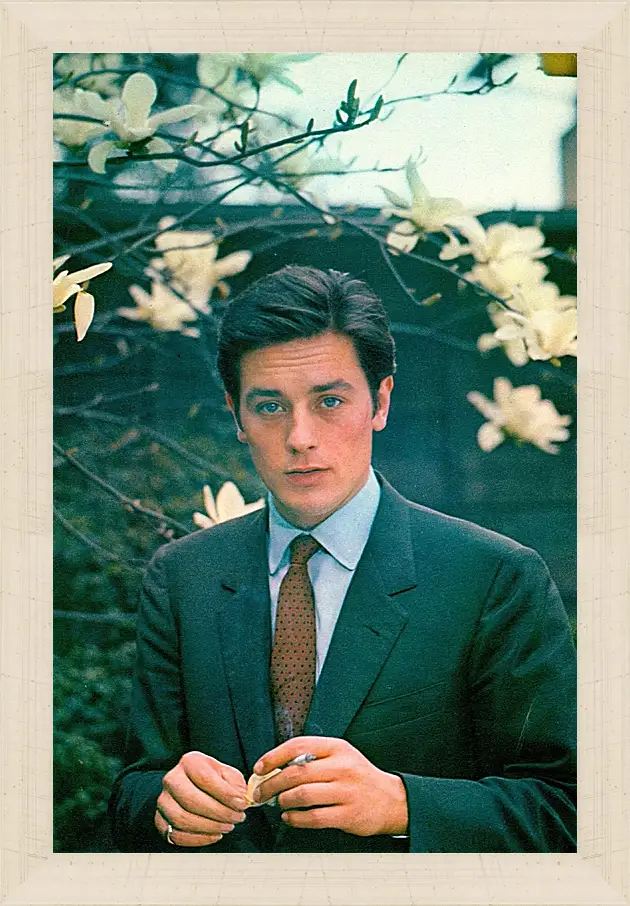 Картина в раме - Ален Делон. Alain Delon