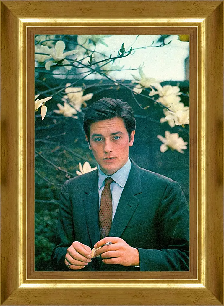 Картина в раме - Ален Делон. Alain Delon