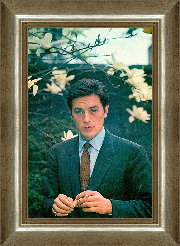 Картина в раме - Ален Делон. Alain Delon