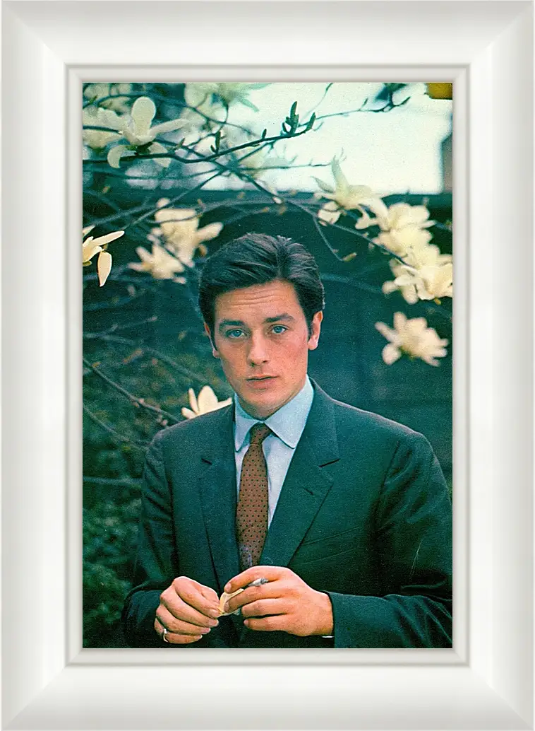 Картина в раме - Ален Делон. Alain Delon