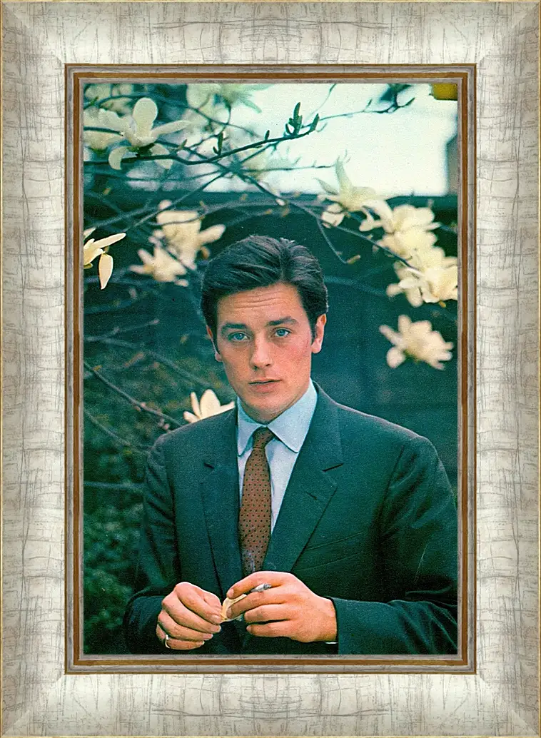 Картина в раме - Ален Делон. Alain Delon