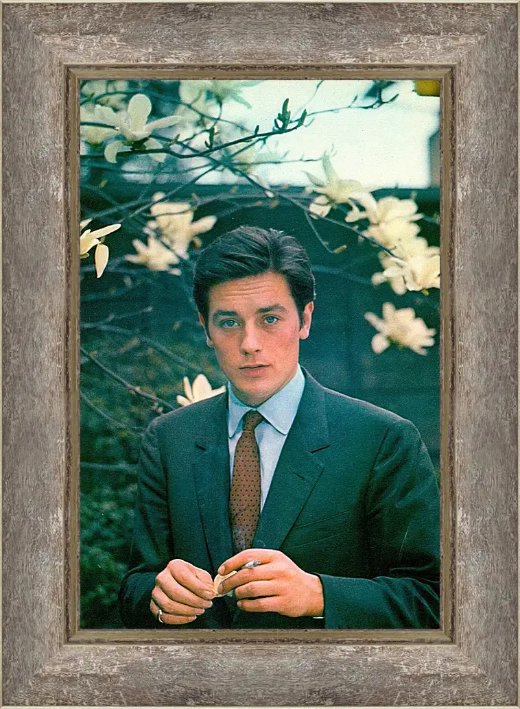 Картина в раме - Ален Делон. Alain Delon
