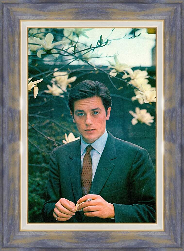 Картина в раме - Ален Делон. Alain Delon