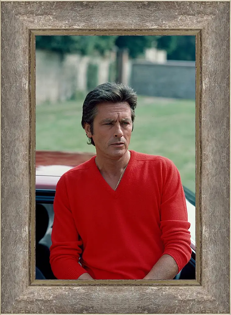 Картина в раме - Ален Делон. Alain Delon
