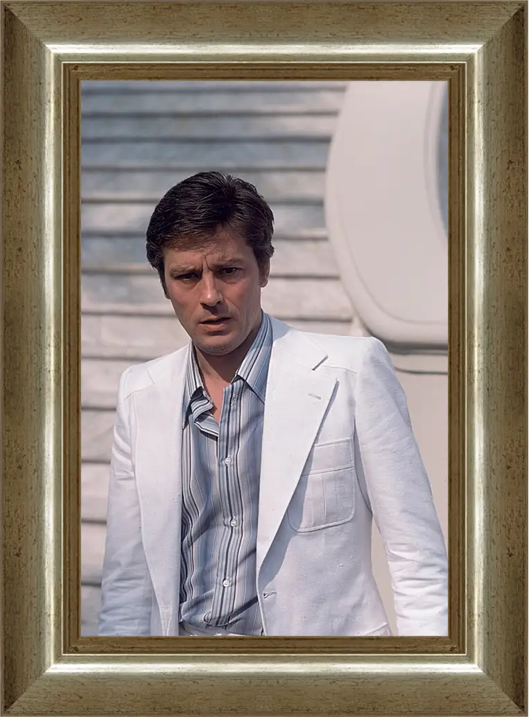 Картина в раме - Ален Делон. Alain Delon