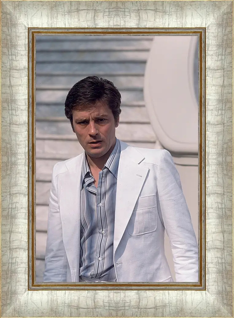 Картина в раме - Ален Делон. Alain Delon