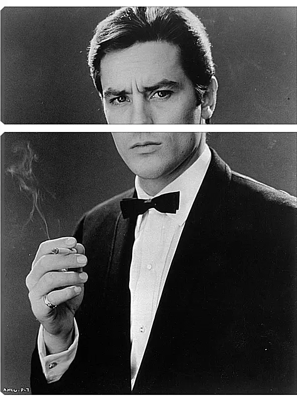 Модульная картина - Ален Делон. Alain Delon