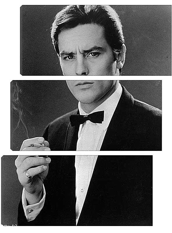 Модульная картина - Ален Делон. Alain Delon