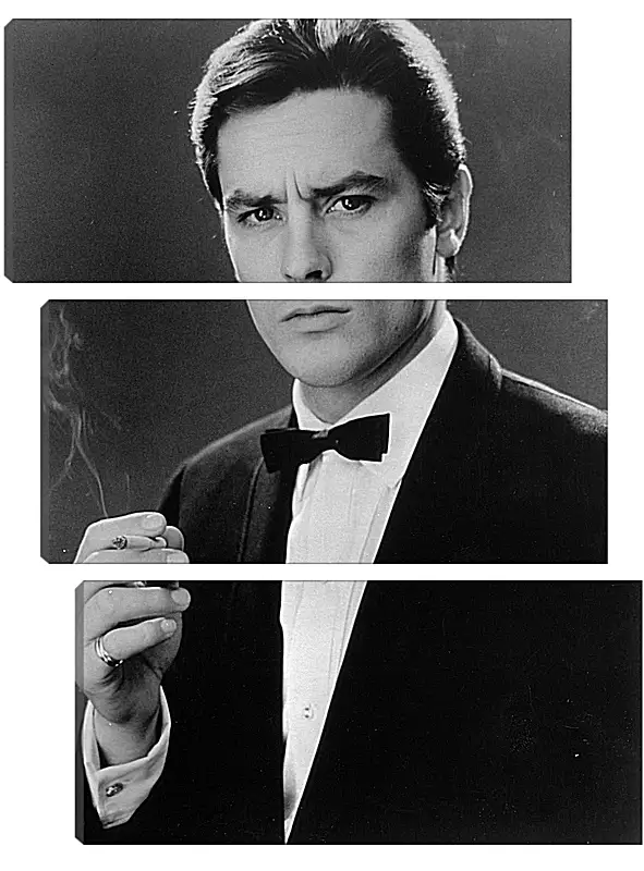 Модульная картина - Ален Делон. Alain Delon