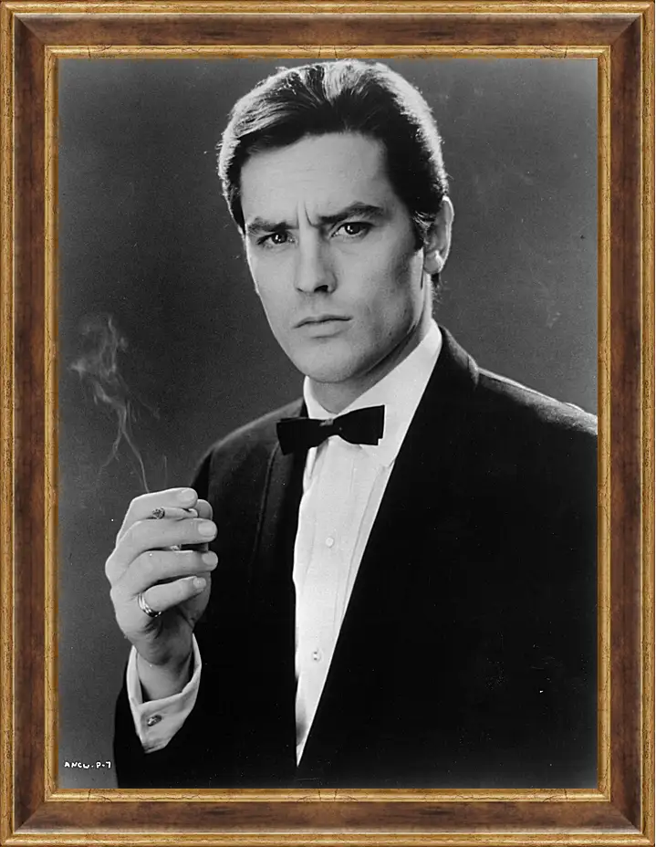 Картина в раме - Ален Делон. Alain Delon