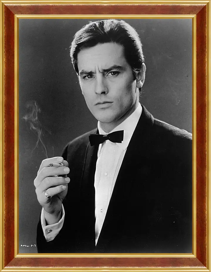 Картина в раме - Ален Делон. Alain Delon