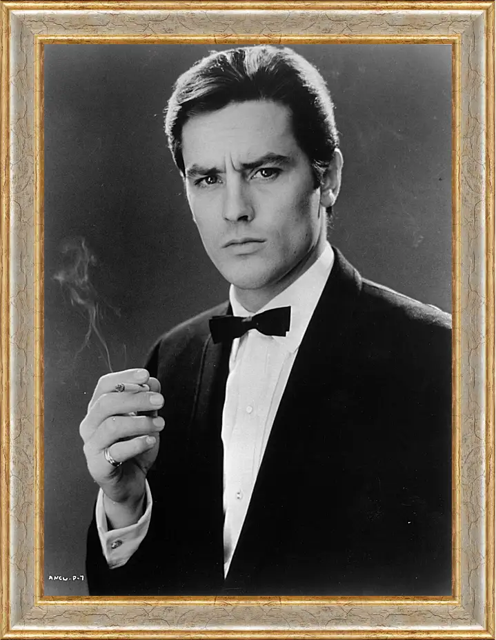 Картина в раме - Ален Делон. Alain Delon