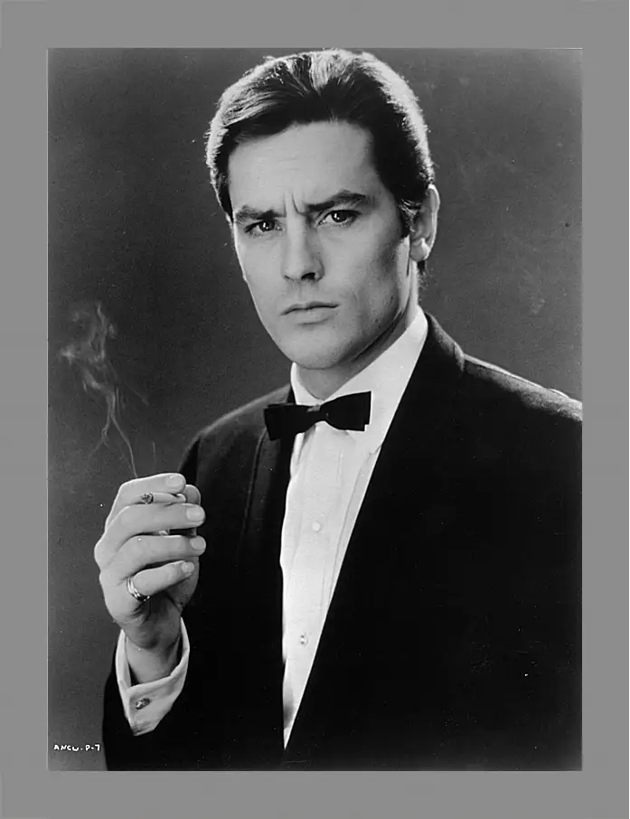 Картина в раме - Ален Делон. Alain Delon