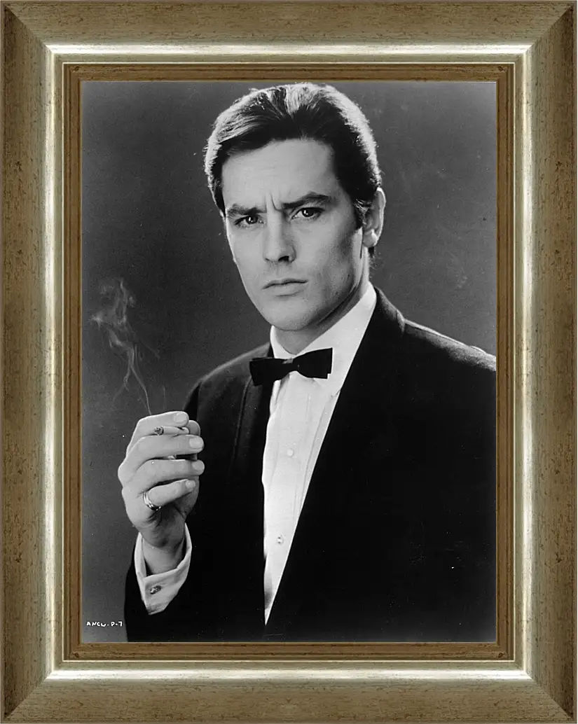 Картина в раме - Ален Делон. Alain Delon