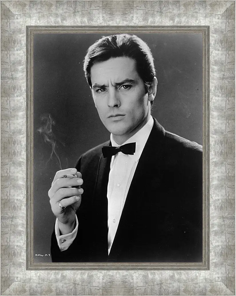 Картина в раме - Ален Делон. Alain Delon