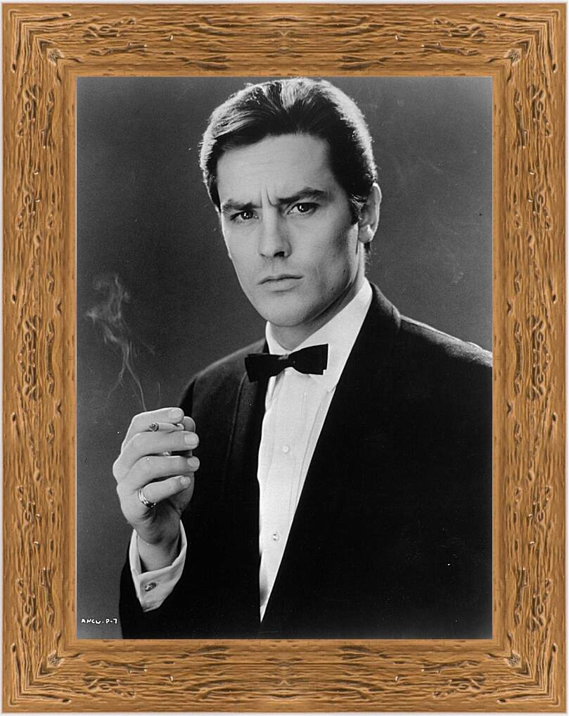 Картина в раме - Ален Делон. Alain Delon