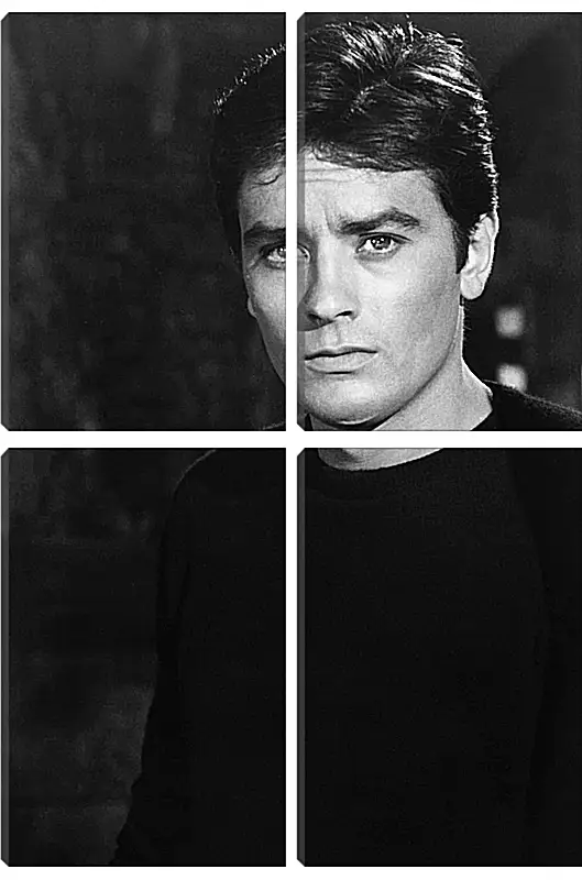 Модульная картина - Ален Делон. Alain Delon