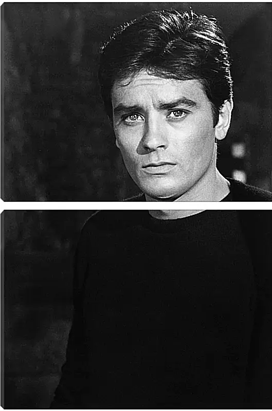 Модульная картина - Ален Делон. Alain Delon