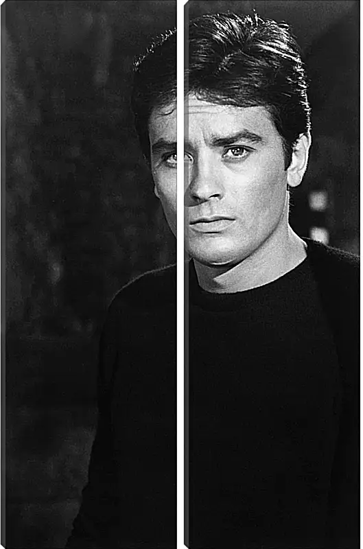 Модульная картина - Ален Делон. Alain Delon