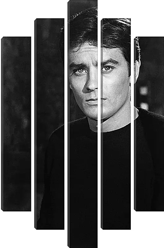 Модульная картина - Ален Делон. Alain Delon