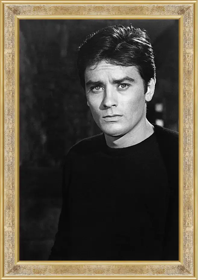 Картина в раме - Ален Делон. Alain Delon