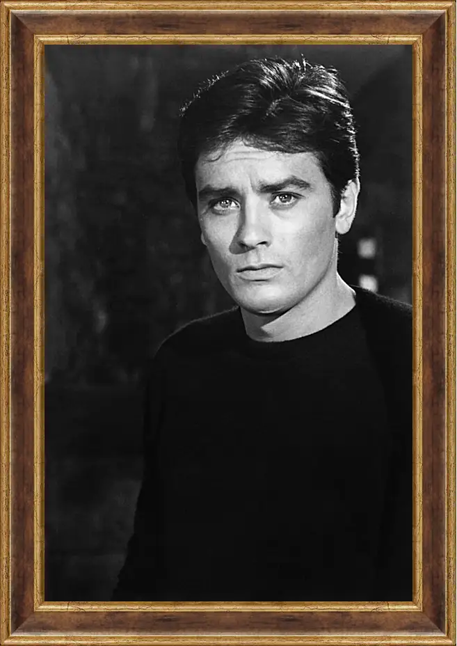 Картина в раме - Ален Делон. Alain Delon