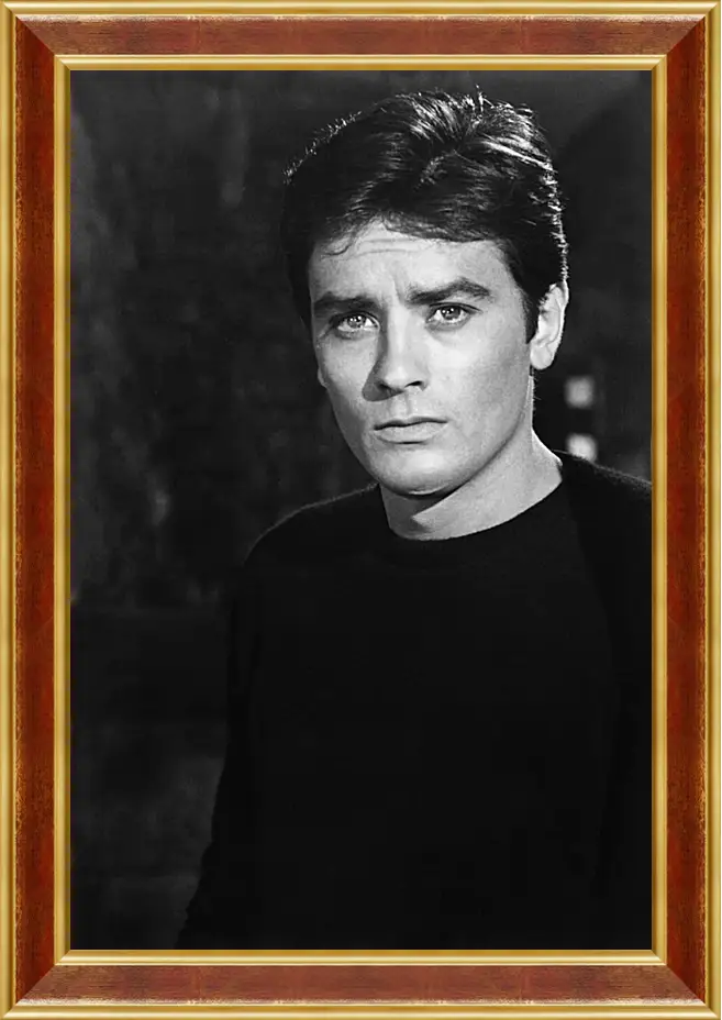 Картина в раме - Ален Делон. Alain Delon