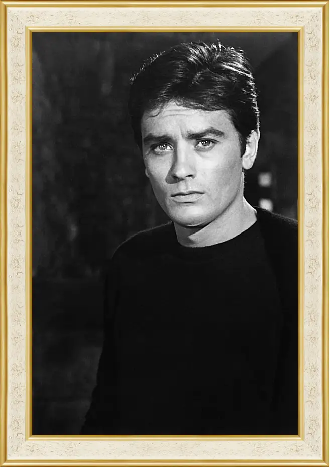 Картина в раме - Ален Делон. Alain Delon