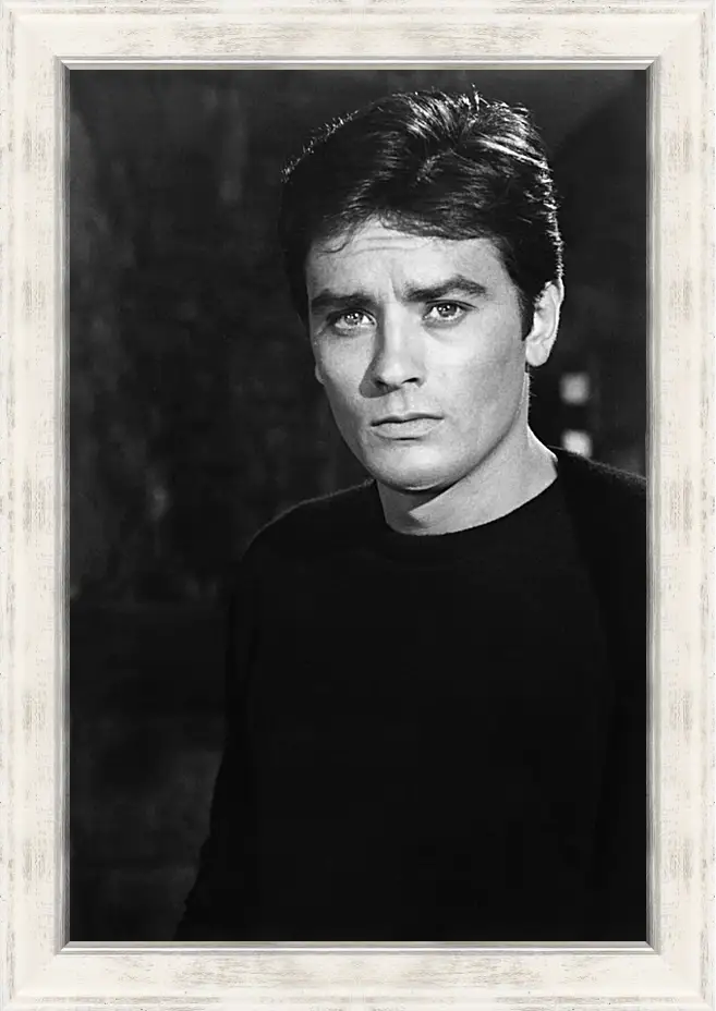 Картина в раме - Ален Делон. Alain Delon