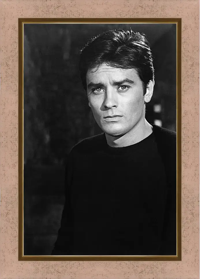 Картина в раме - Ален Делон. Alain Delon